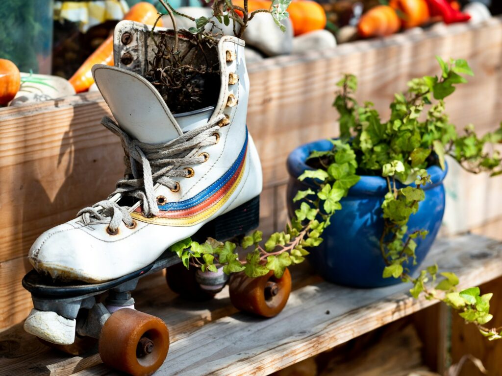 white roller skates beside green plant